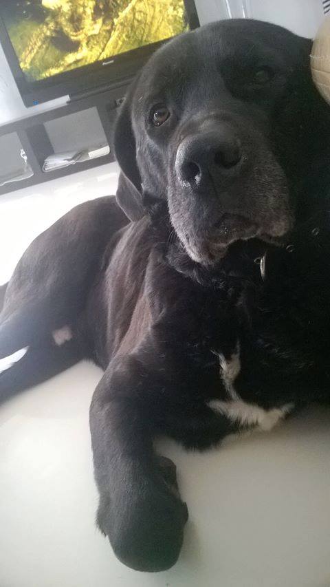 Pozdrowienia od Potrosika Kochanego 